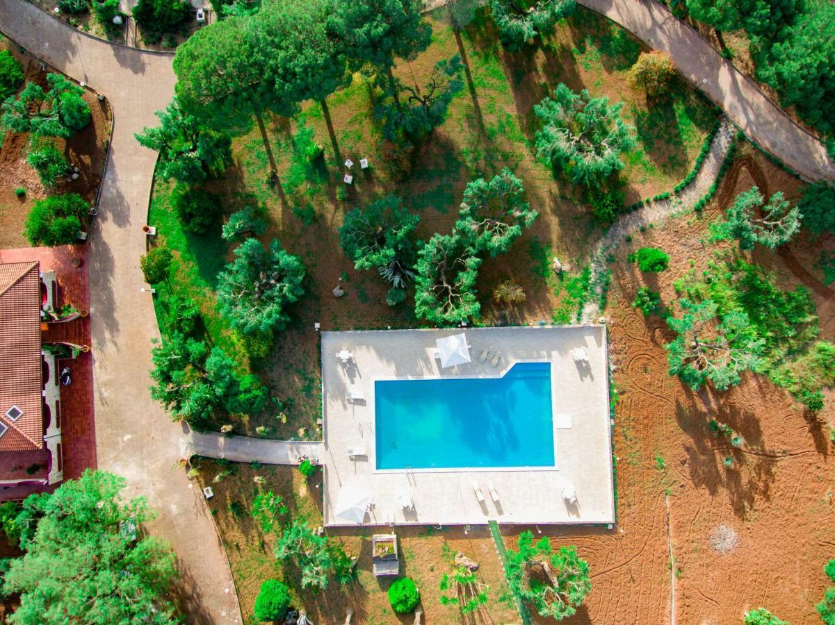 Bed and Breakfast Relais D 'Itria Гротталье Экстерьер фото